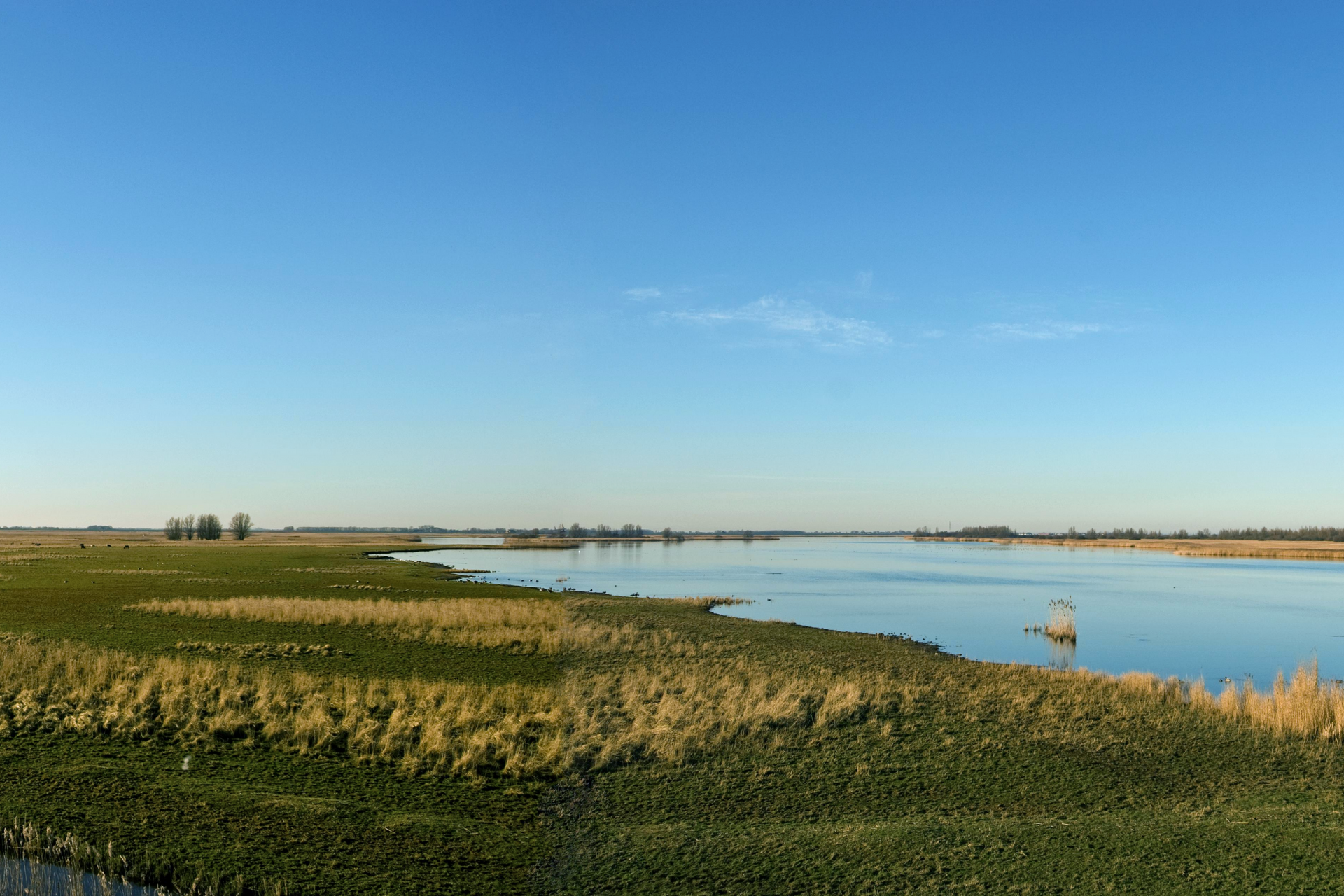 lauwersmeer