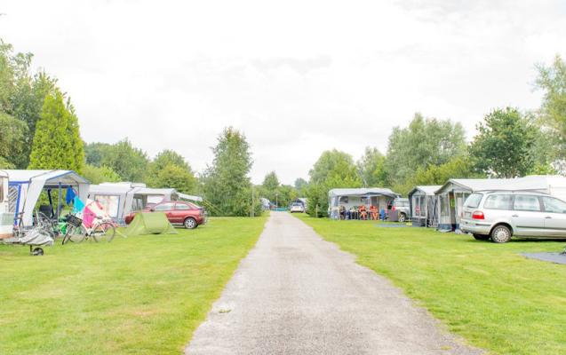 Emplacements nus au camping de Meerwijck