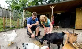 dieren 