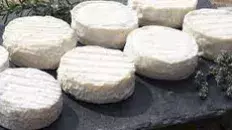 Le fromage de Pélardon