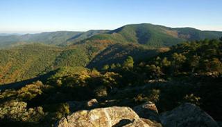 Le massif des Maures