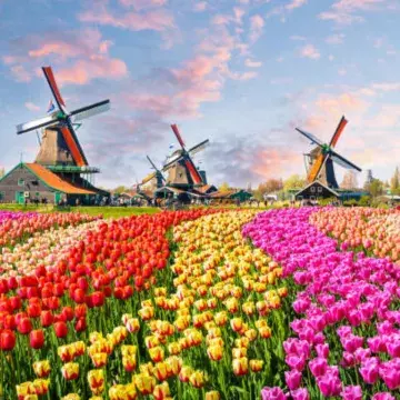 Nederland