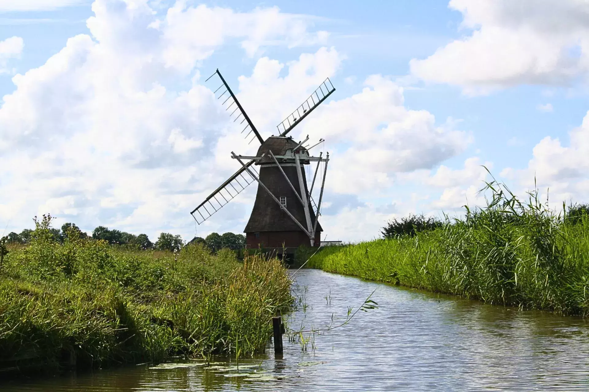 molen in groningen